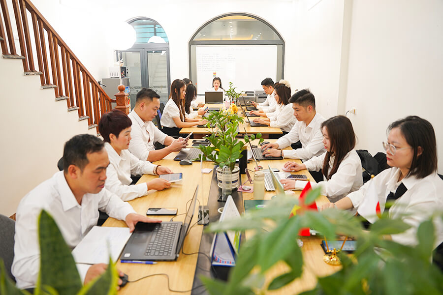 Nhân lực DMT Nhân lực DMT